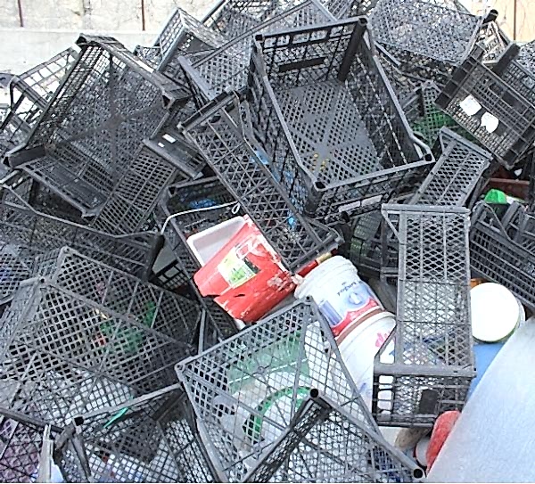 M�d�ro�lu Geri D�n���m